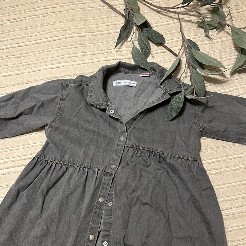 Zara Toddler dress